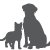 Spay and Neuter Spay and Neuter