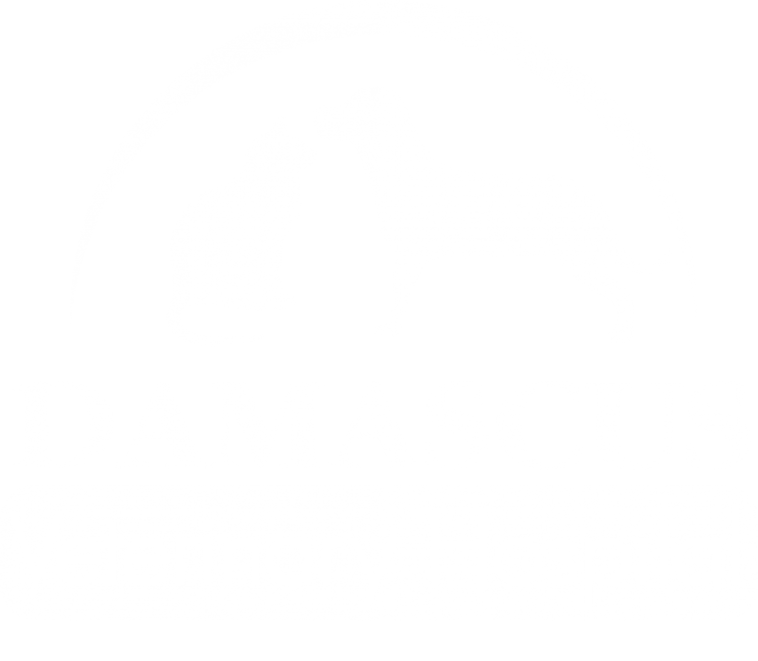 DAMASCUS Logo