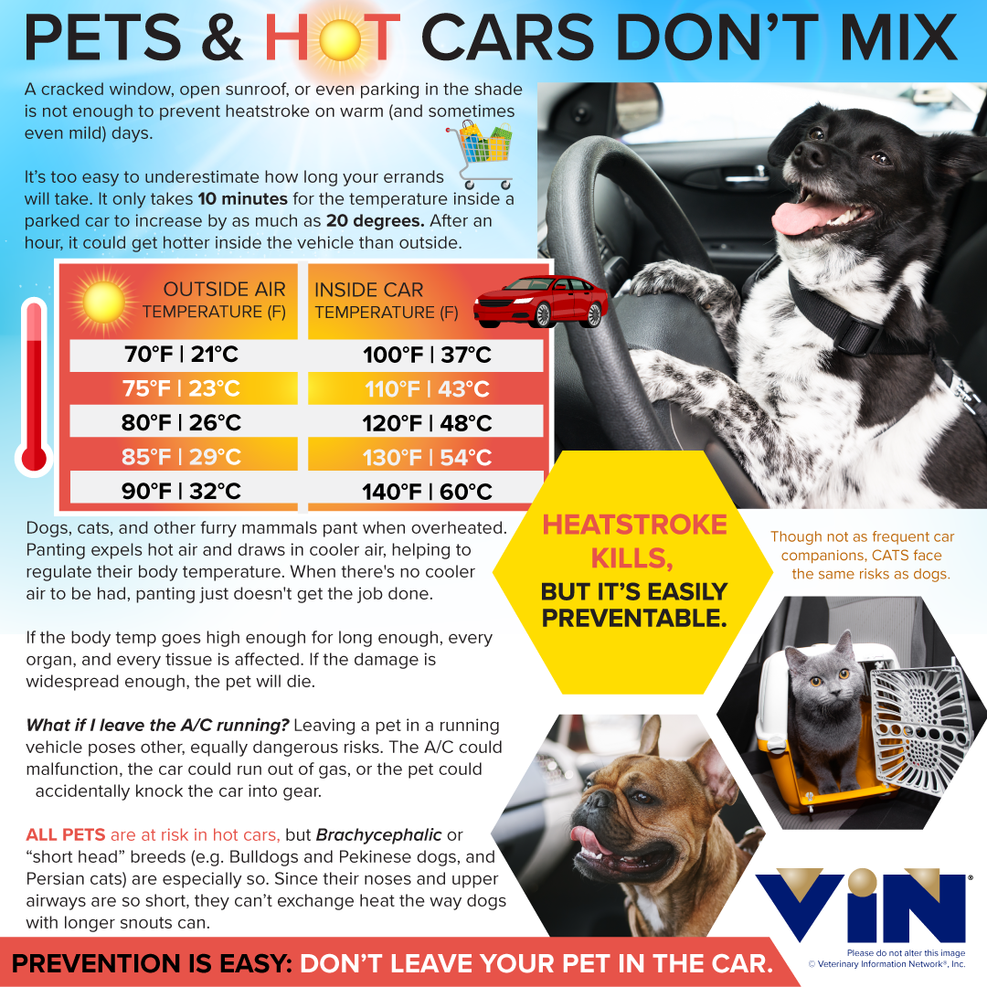 Summer Safety