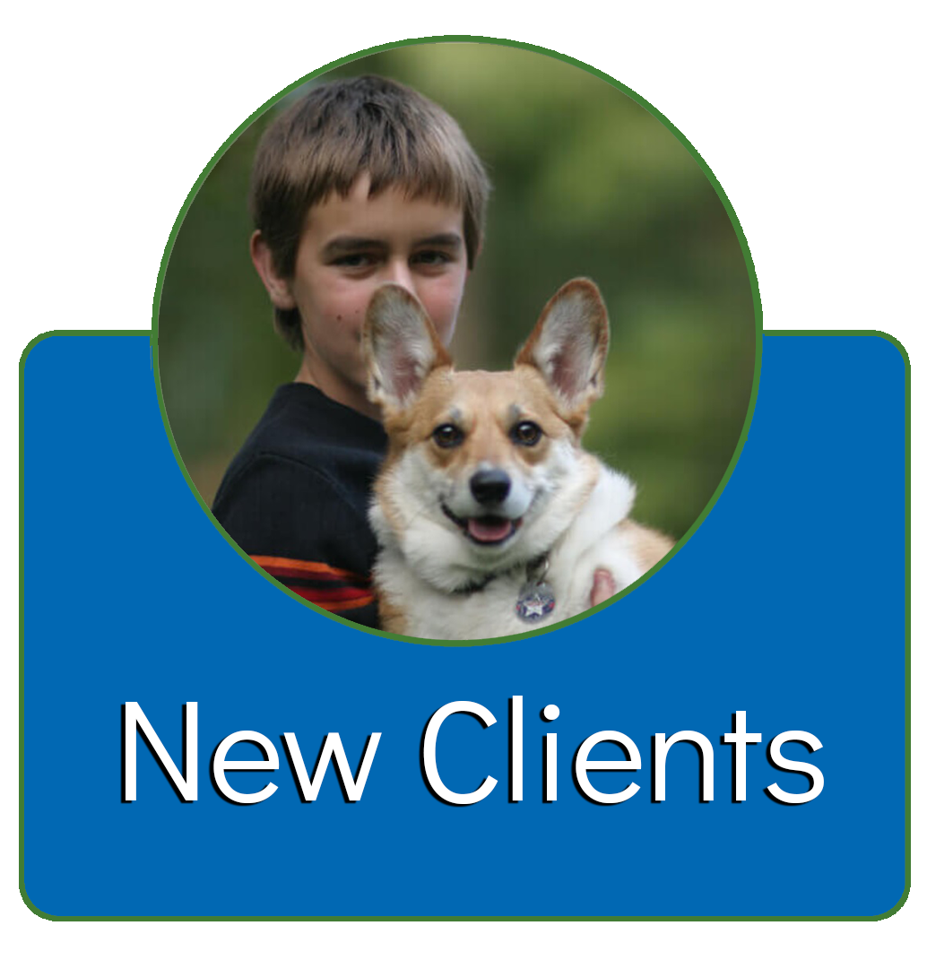 New Clients